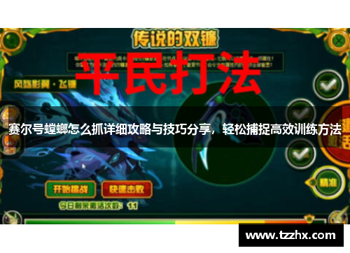 赛尔号螳螂怎么抓详细攻略与技巧分享，轻松捕捉高效训练方法